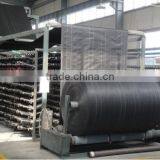 Agricultural pp Weed Mat Black Plastic Ground Cover for Sale thumbnail-2