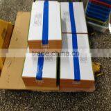 Pacific Squid thumbnail-3