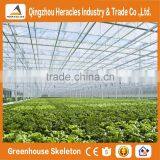 Heracles Trade Assurance Low Cost Agricultural Tunnel Greenhouses thumbnail-5