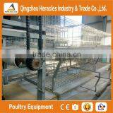 Trade Assurance Factory Price H Type Chicken Layer Cage for Broiler thumbnail-1
