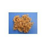 Bamboo Fiber thumbnail-1