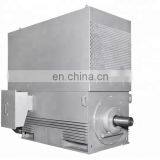 1MC0 High Voltage 6.6KV High Efficiency Three Phase Asynchronous Induction Motor thumbnail-2