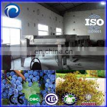 Energy-saving Full Automatic Grape Destemmer Machine | Grape Crusher Stemmer thumbnail-2