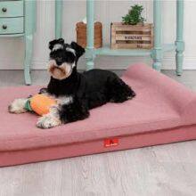 Orthopedic Memory Foam Calming Pet Bed With One Pillow thumbnail-3