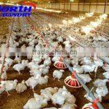 prefab broiler poultry house