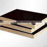 18mm WBP Glue Marine Plywood Construction Material thumbnail-4