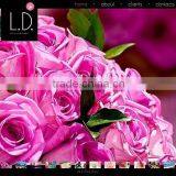 Fine Art Photographers thumbnail-1