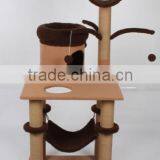 Fashionable Cat Accessories thumbnail-3