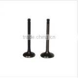 Valve Assembly for S195