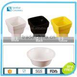 Ceramic V Shape Buffet Bowl Buffet Server for Hotel and Restaurant