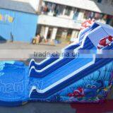 Commercial Inflatable Nemo Cartoon Water Slide With Pool, Giant Inflatable Water Slide for Sale Quality Choice thumbnail-2