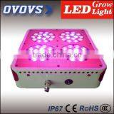 Top Quality 180w 3w Chip Led Grow Light for Plant in Greenhouse