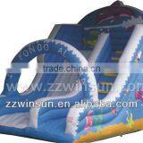 CE Certificates Hot-selling Adult Water Slide