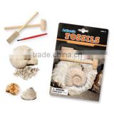 archaeology Dig and Discover kit toy of Egyptian Antique dig kit, Fossil Excavation Dig it Out Kit
