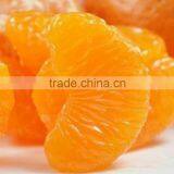 Companies Imported Fruit Wholesale Price Orange thumbnail-4