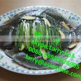 Automatic Fish Scaling Machine/fish Viscera Cleaning Machine/fish Scaling Machine thumbnail-6