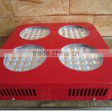 Activities Grow Lights