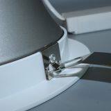 CE/ROHS/UL Chinese LED Down Light Manufacturer for Hotel LED Down Light 20W/30W thumbnail-5