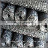 Chicken Coop Hexagonal Wire Mesh thumbnail-2