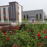 Large Capacity Oil Refinery Distillation Equipment 40tpd for Diesel Oil thumbnail-6