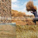 Rice Straw , Bagasse ,waste Paper ,raw Material Craft Paper Machine thumbnail-2