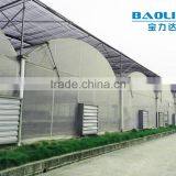 Factory Price BLD001 Plasctic Film Cover Greenhouse for Agricultural and Commercial Use thumbnail-1
