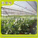 High Quality Hydroponic Greenhouse Wholesale thumbnail-1