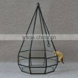 Indoor Plant Glass Terrarium Micro Landscape Glass Greenhouse thumbnail-1