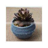 SJ10181201 Wholesale All Types Of Artificial Cactus Plants thumbnail-3