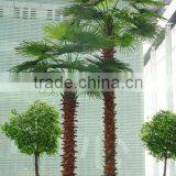 UV Proof Artificial Outdoor Palm Trees Hot Sale Artificial Plastic Palm Tree thumbnail-5