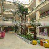 Artificial Palm Tree With Brown Bark Fiberglass Tree Sale Fake Tree Outdoor Decoration thumbnail-4