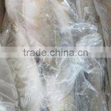 Frozen Sea Bass thumbnail-2