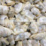 HIGH QUALITY AND HIGH QUANTITY SUPPLY FOR CLAM MEAT thumbnail-2