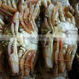 Well Selling Seafood and Crab Pot thumbnail-1