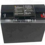 Lithium Ion 12V 28Ah LiFePO4 Battery for Golf Trolley Battery