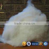 Raw Cashmere Wool Fiber Tops thumbnail-2