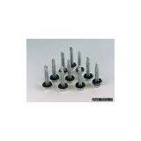 Roofing Screws thumbnail-1