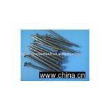 Common Nail thumbnail-1