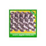 Z26005 Wire Drawing Dies/ Pcd Wire Drawing Dies