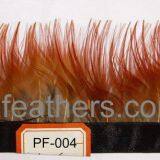 Golden Pheasant Yellow/red Body Feather Fringe