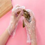 Disposable PE Glove thumbnail-3