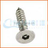 China Supplier Custom Security Anti-theft Screw thumbnail-2