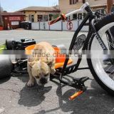 EEC EPA Motor Drift Trike Tricycle New Off Road Motorized 3 Fat Wheel Motor Tricycle Baodiao Manufacture Supply Directly B116892