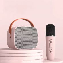 Portable Bluetooth speaker and mini wireless microphone set