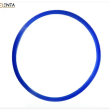 37# Trident Italy Autoclaves 12L,15L 16L 17-23L 18LAutoclave Door Gasket Sterlization Door Seal Replacement Chamber Accessori thumbnail-3