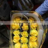 Top Quality Most Popular Gold Plated Gift Rose thumbnail-4