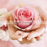 3d Lenticular Printing Making