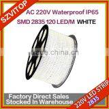 SV 220V IP65 2835Flexible Rope LED Strip WHITE Party Xmas Lamp BLUE 220V2835 120LEDS/M thumbnail-1