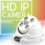 Vitevision Outdoor IR Long Range 30m Night Vision Waterproof IP Dome Camera