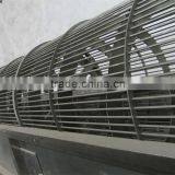 Stainless Steel Radish Potato Carrot Ginger Beet Washing Machine thumbnail-4